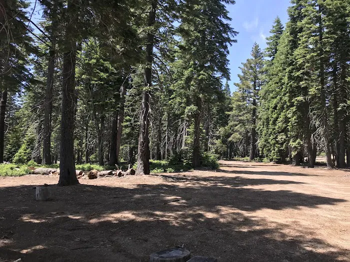 Board Tree Campground Picture 8