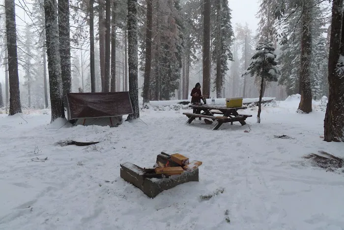 Board Tree Campground Picture 10