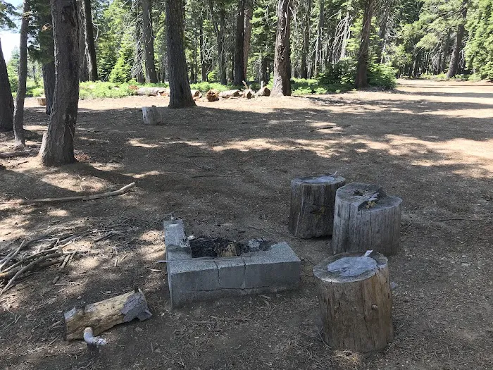 Board Tree Campground Picture 4