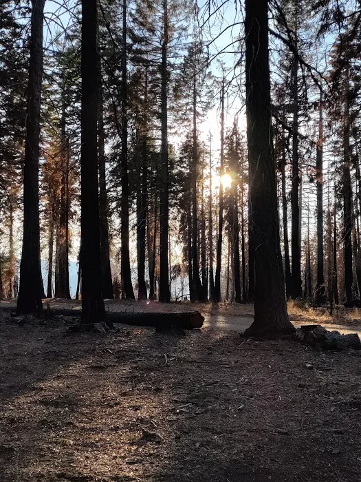 Board Tree Campground Picture 7