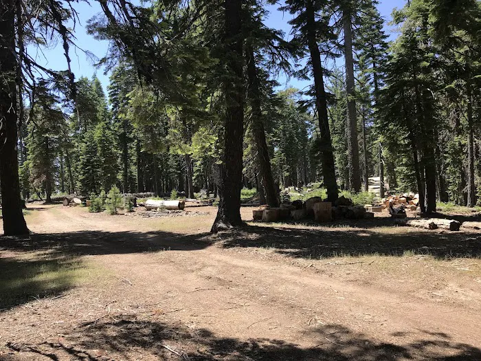 Board Tree Campground Picture 1