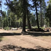 Board Tree Campground ico