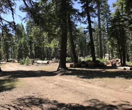 Board Tree Campground