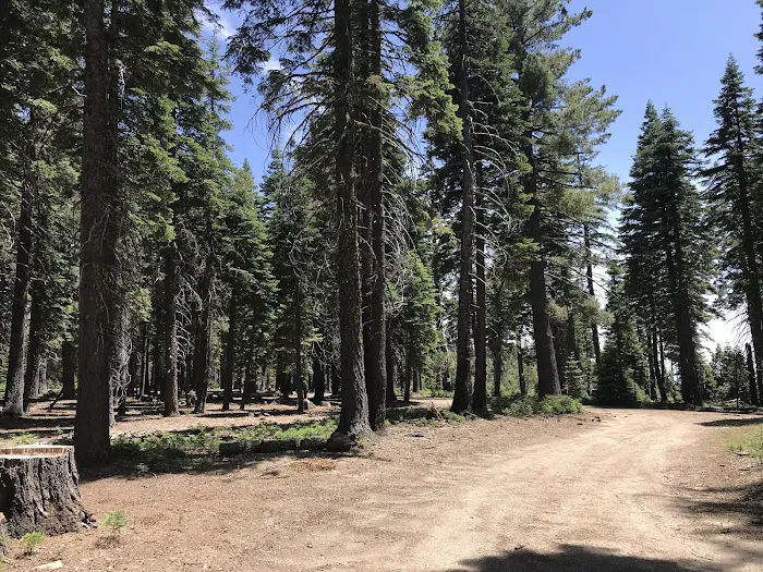 Board Tree Campground Picture 5