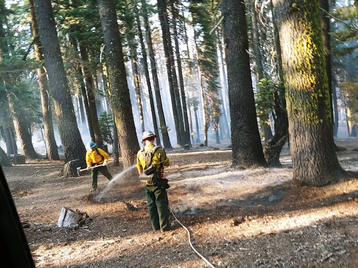 Wells Cabin Campground Picture 9