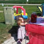 Mendota Mobile Home Community