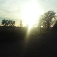Cortland ico