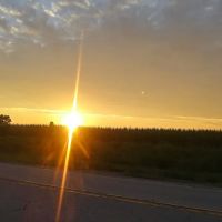 Lakeview Mobile Homes ico