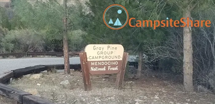 GRAY PINE GROUP CAMPGROUND Picture 2