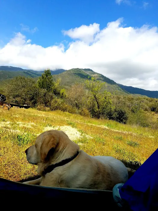Mill Creek Campground Picture 7