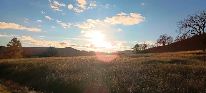 Coyote Cove Picture 1