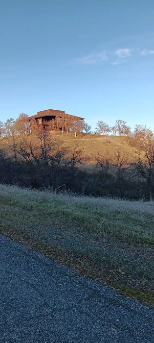 Coyote Cove Picture 7