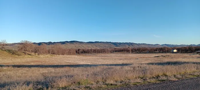 Coyote Cove Picture 3