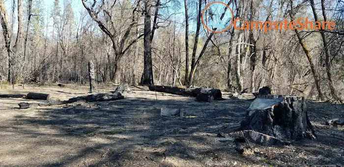 Lower Nye Campground Picture 1