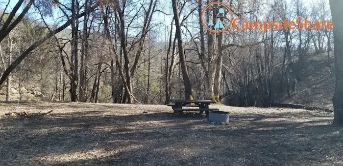 Lower Nye Campground Picture 2