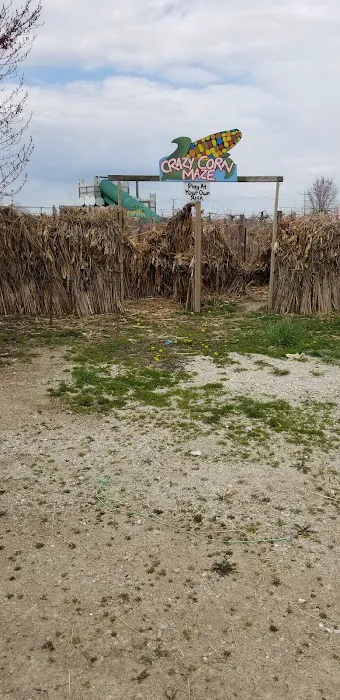 Oakdale Estates Mobile Home Park Picture 6