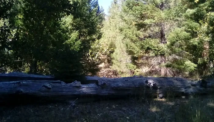 Thomes Pocket Camping Area Picture 8