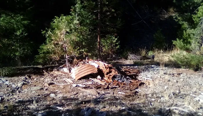 Thomes Pocket Camping Area Picture 1