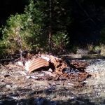 Thomes Pocket Camping Area