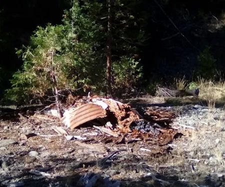 Thomes Pocket Camping Area