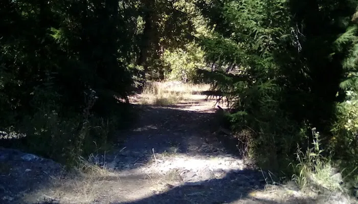 Thomes Pocket Camping Area Picture 4