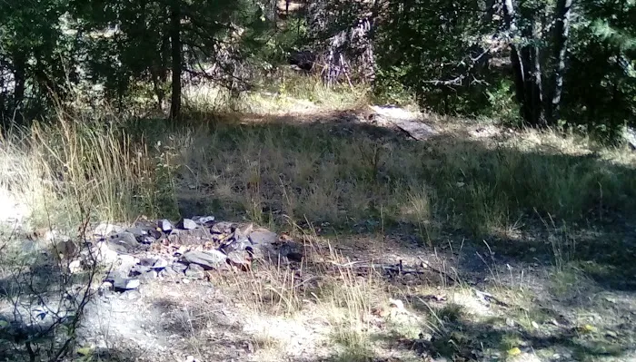 Thomes Pocket Camping Area Picture 10