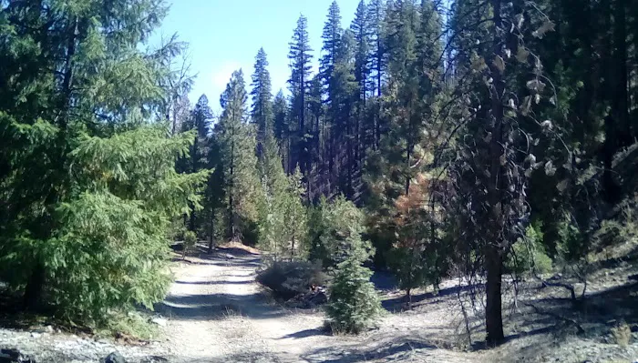 Thomes Pocket Camping Area Picture 6