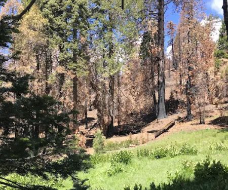 Green Springs Campground