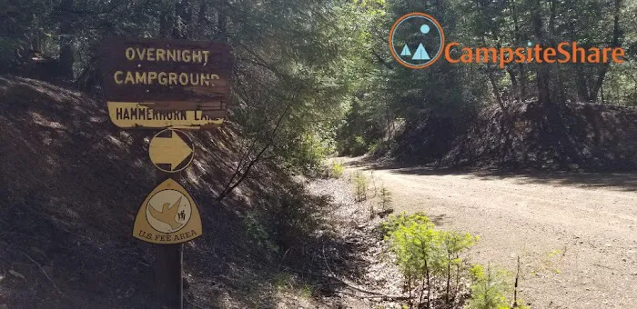 Hammerhorn Campground Picture 5