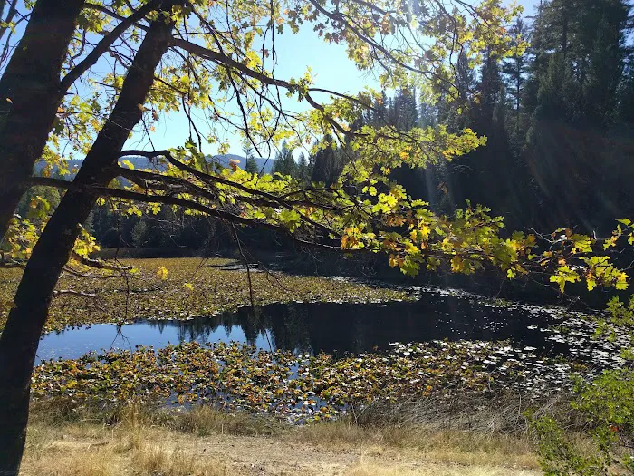 Hammerhorn Campground Picture 10