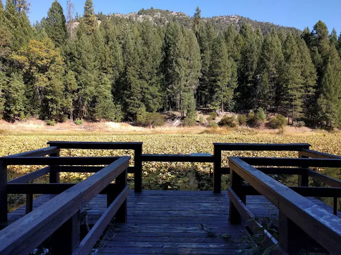 Hammerhorn Campground Picture 9