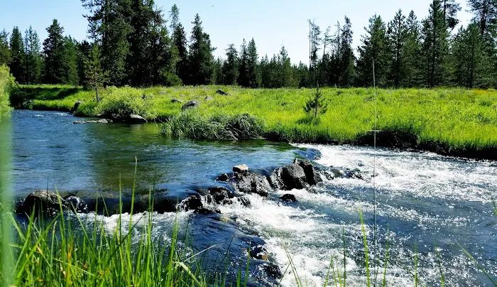 Pole Bridge Campground Picture 7