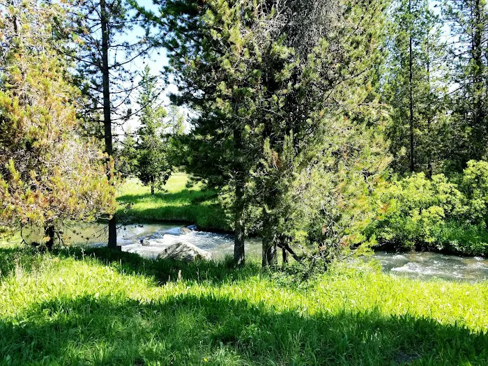 Pole Bridge Campground Picture 9