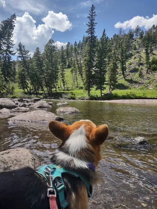 Slough Creek Campground Picture 5