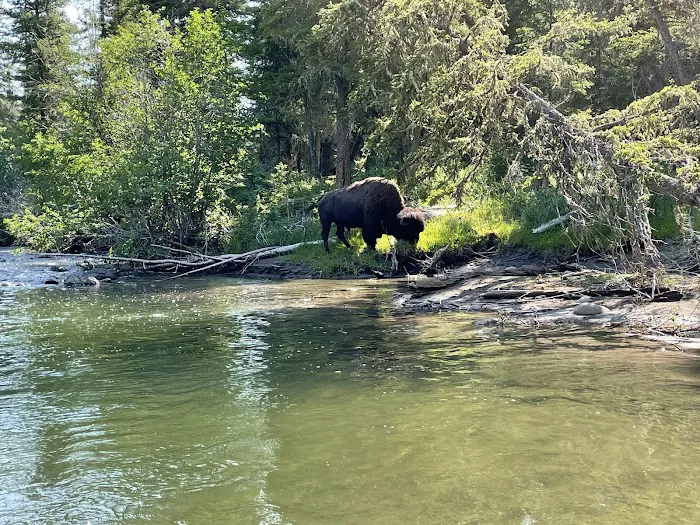 Slough Creek Campground Picture 4