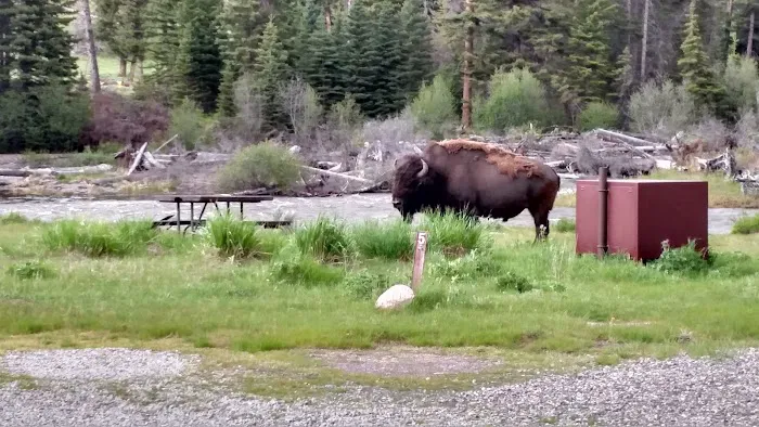 Slough Creek Campground Picture 10