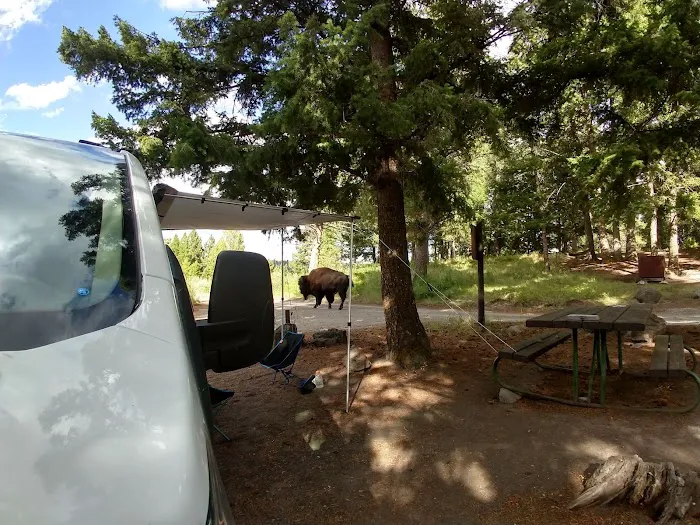 Tower Fall Campground Picture 3