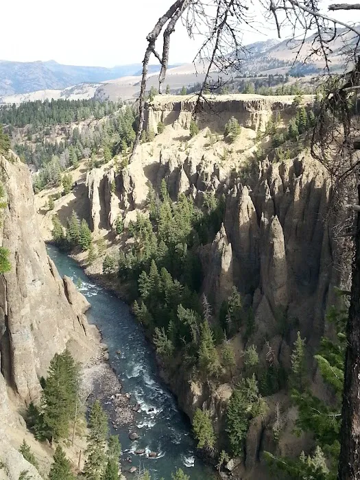 Tower Fall Campground Picture 8