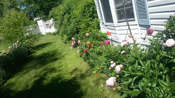 Deerfield Pines Picture 5