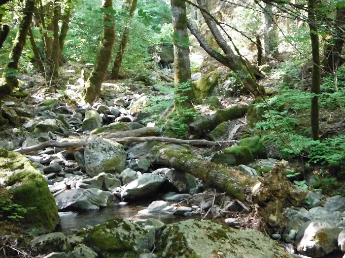 Stag Point Picture 2