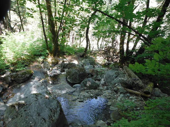 Stag Point Picture 1