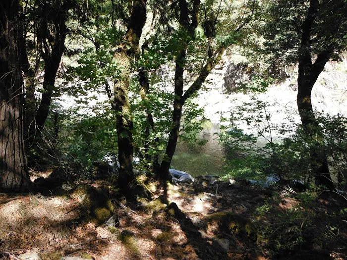 Stag Point Picture 6