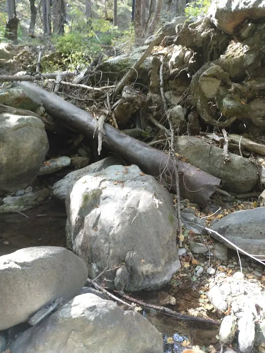 Stag Point Picture 5