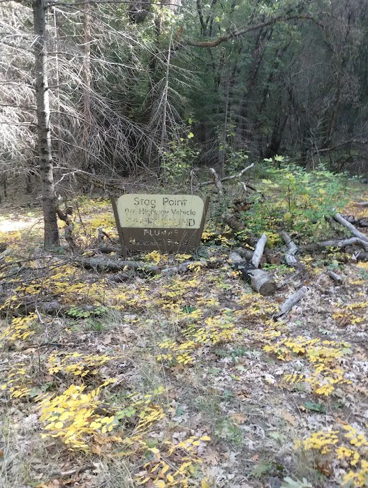 Stag Point Picture 8