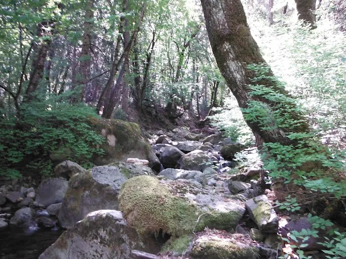 Stag Point Picture 7