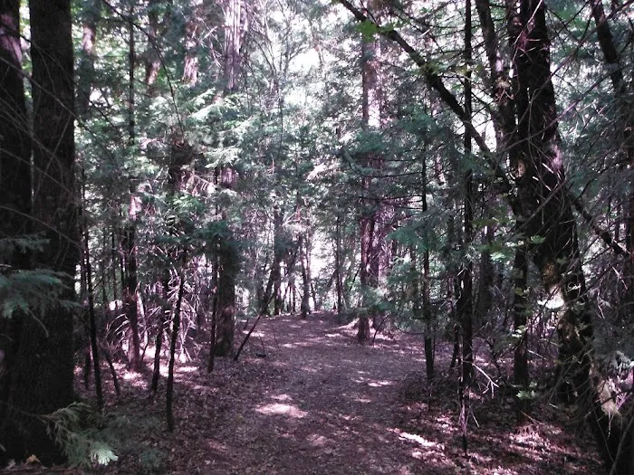 Stag Point Picture 10