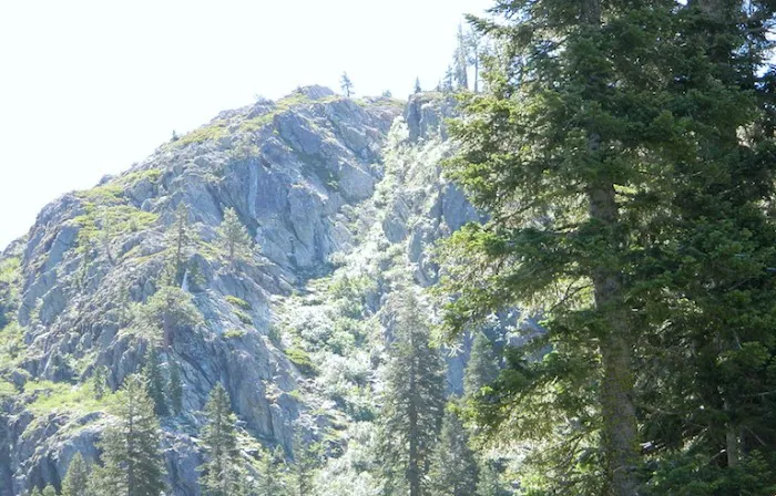 Ross Campground Picture 2