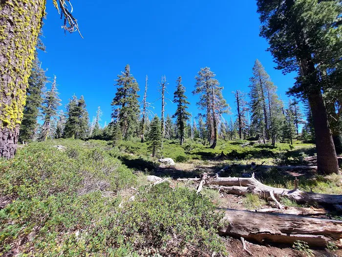 Lakes Basin Campground Picture 2