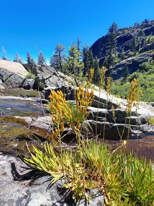 Lakes Basin Campground Picture 4