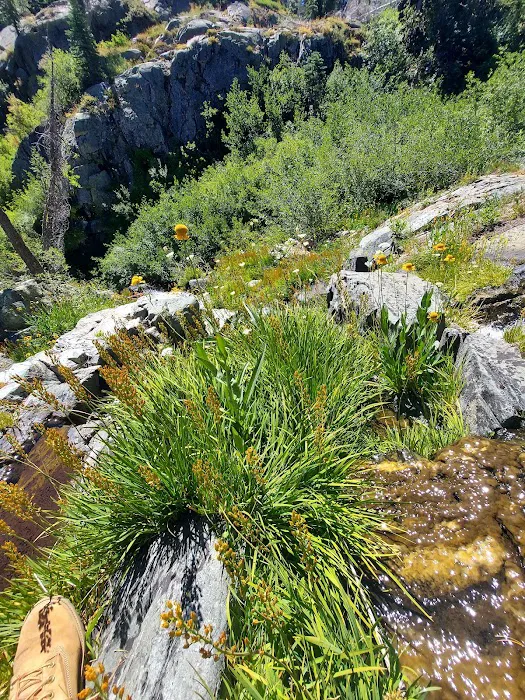 Lakes Basin Campground Picture 6